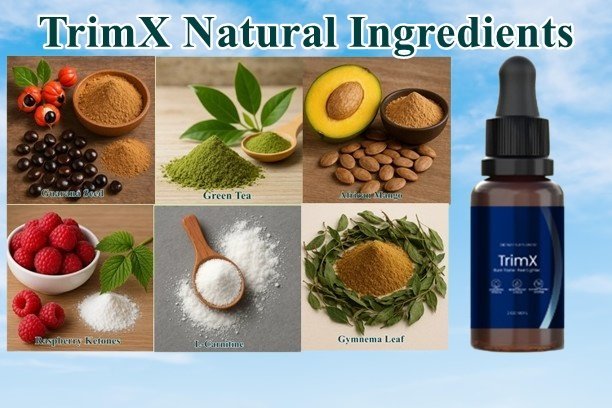 TrimX Ingredients